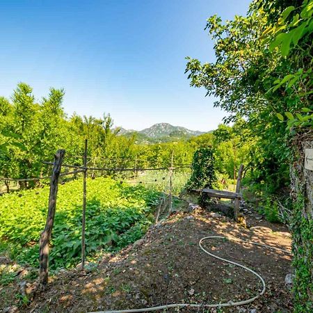 Bed and Breakfast Ethno House Osobak Virpazar Zewnętrze zdjęcie