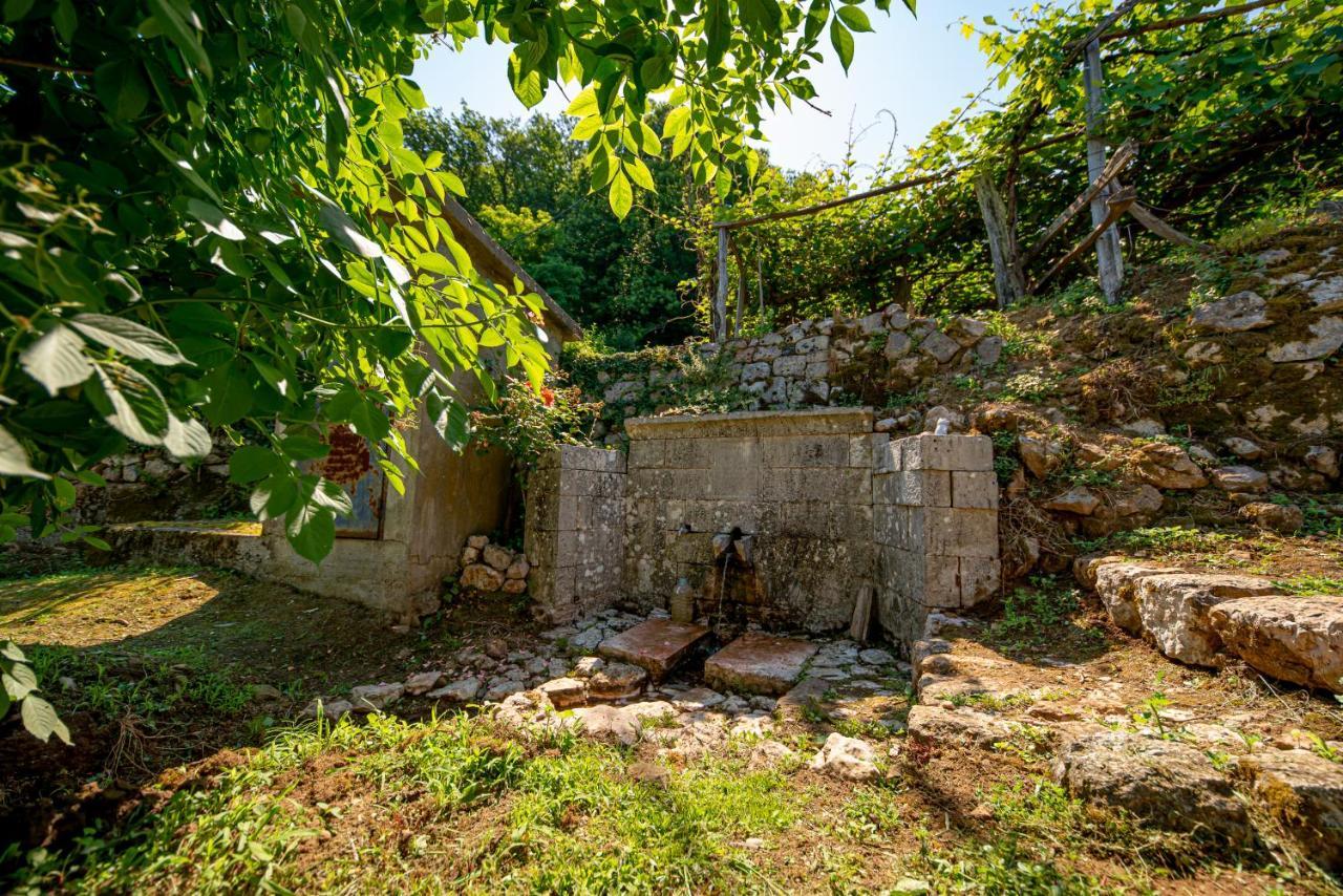 Bed and Breakfast Ethno House Osobak Virpazar Zewnętrze zdjęcie