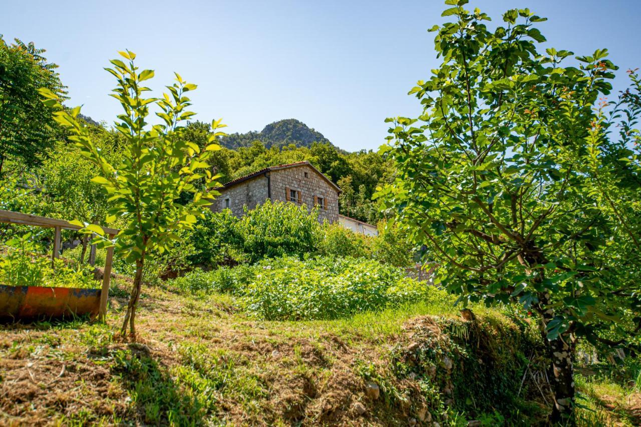 Bed and Breakfast Ethno House Osobak Virpazar Zewnętrze zdjęcie