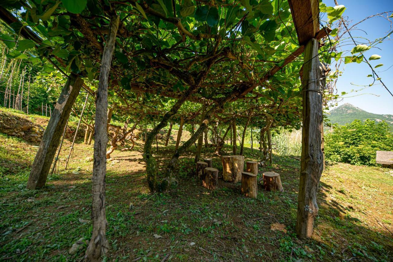 Bed and Breakfast Ethno House Osobak Virpazar Zewnętrze zdjęcie