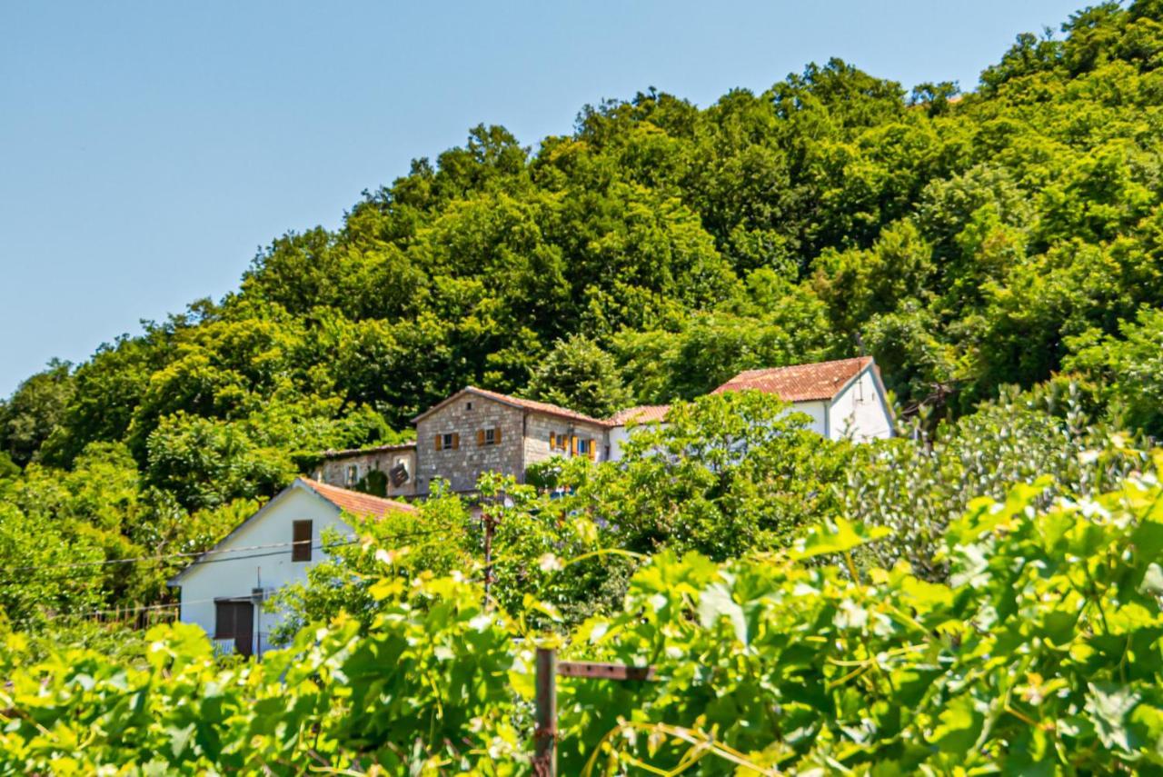 Bed and Breakfast Ethno House Osobak Virpazar Zewnętrze zdjęcie