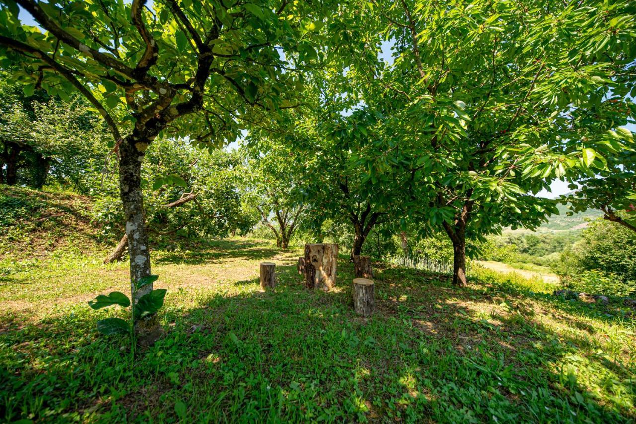 Bed and Breakfast Ethno House Osobak Virpazar Zewnętrze zdjęcie