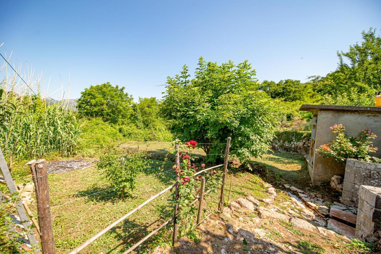 Bed and Breakfast Ethno House Osobak Virpazar Zewnętrze zdjęcie