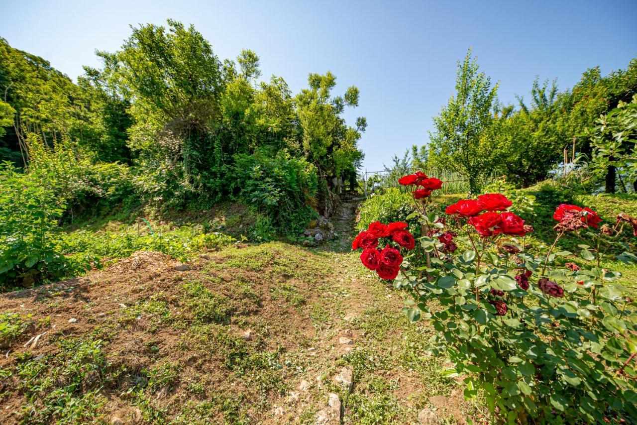 Bed and Breakfast Ethno House Osobak Virpazar Zewnętrze zdjęcie