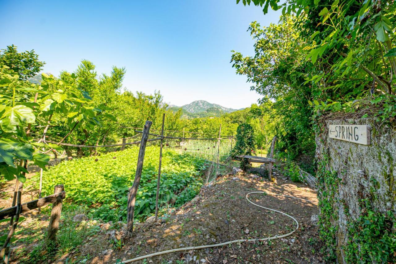 Bed and Breakfast Ethno House Osobak Virpazar Zewnętrze zdjęcie