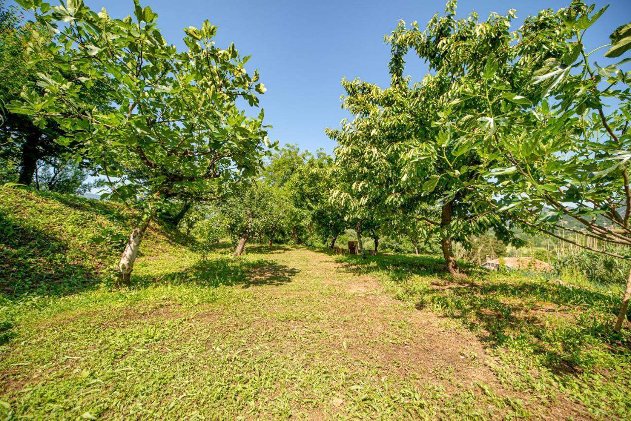 Bed and Breakfast Ethno House Osobak Virpazar Zewnętrze zdjęcie